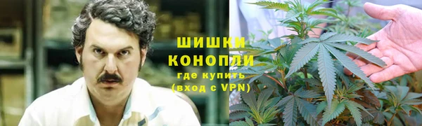 MESCALINE Белокуриха