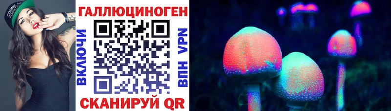 Галлюциногенные грибы Psilocybe  где найти   Борисоглебск 